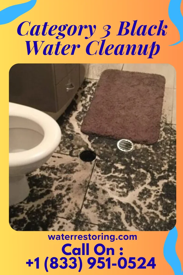 Category 3 Black Water Cleanup in Woodland, MI