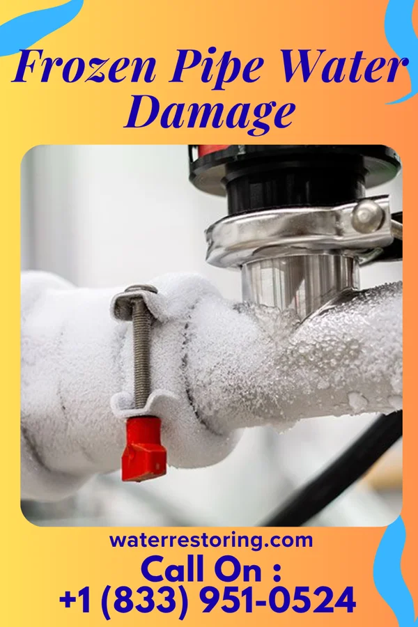 Frozen Pipe Water Damage in Woodland, MI