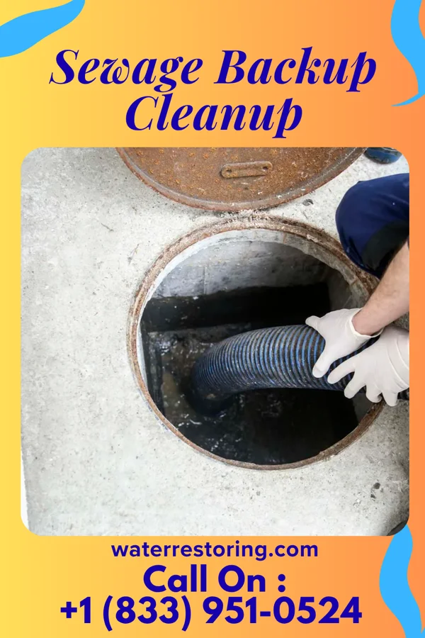 Sewage Backup Cleanup in Woodland, MI